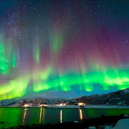 In The Heart Of The Aurora Borealis - Tromso City Luaran gambar