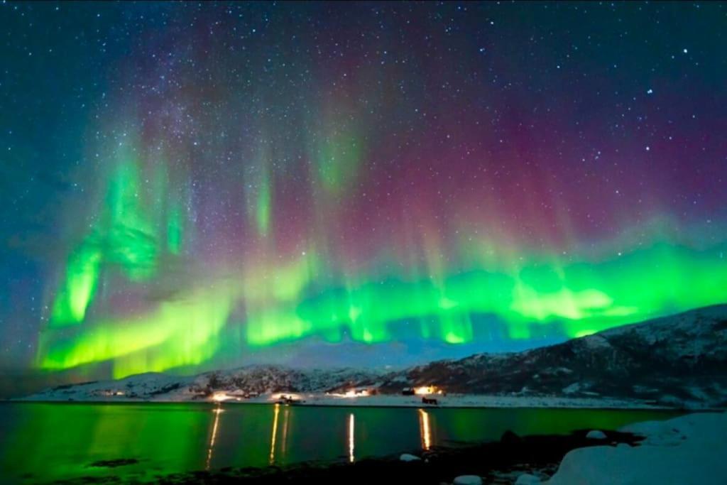 In The Heart Of The Aurora Borealis - Tromso City Luaran gambar